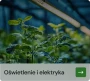 [Ecommercy] Testowy produkt